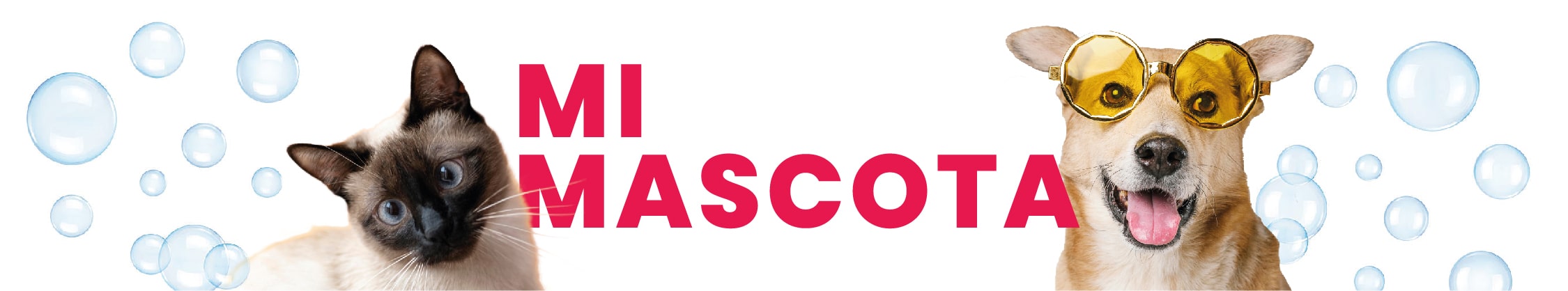 Mi Mascota