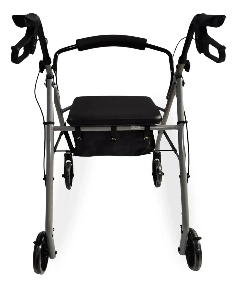 Andadera Rollator Plata Acero Con Bolsa Y Rueda 6X1