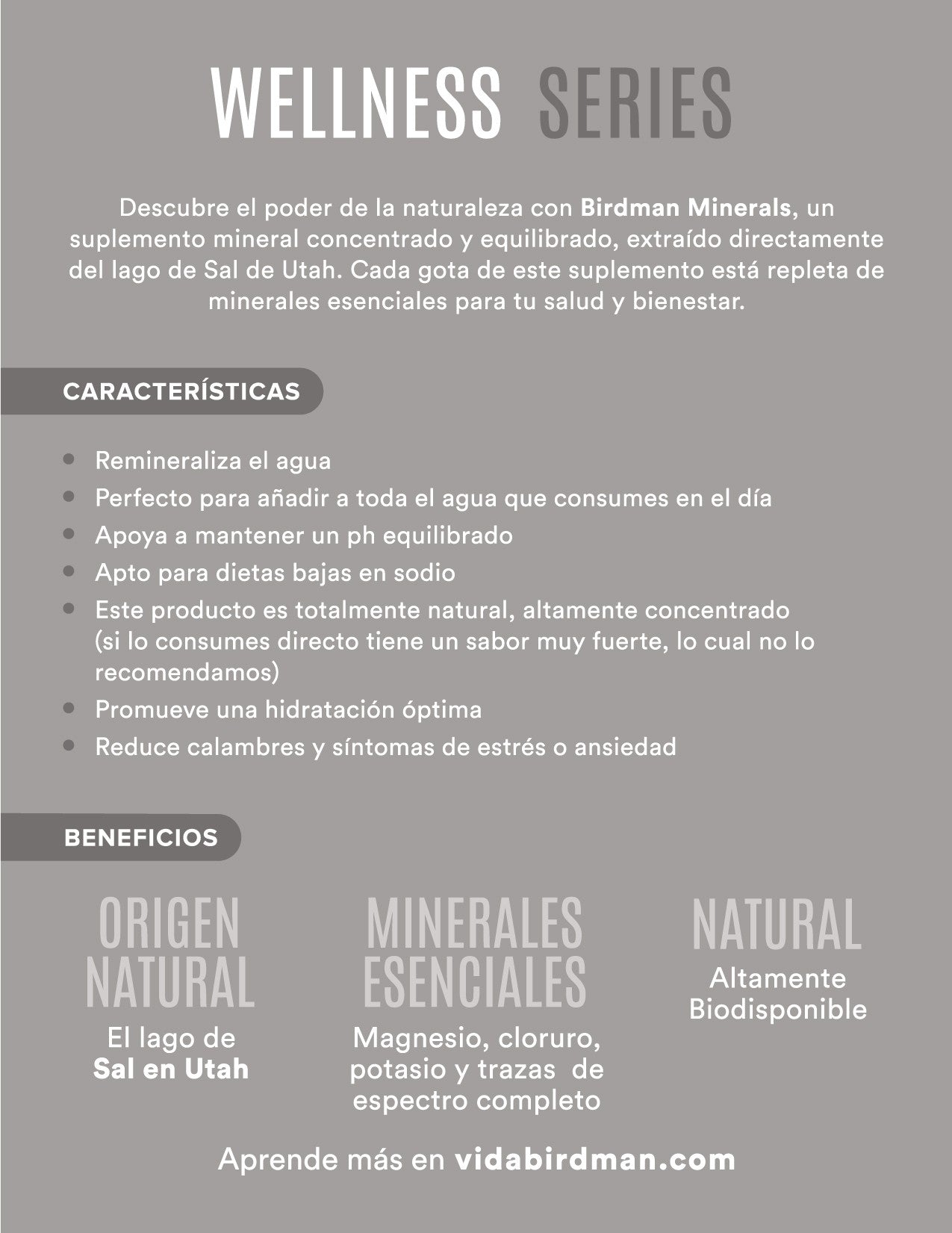 Bs Minerales 300 Ml Birdman