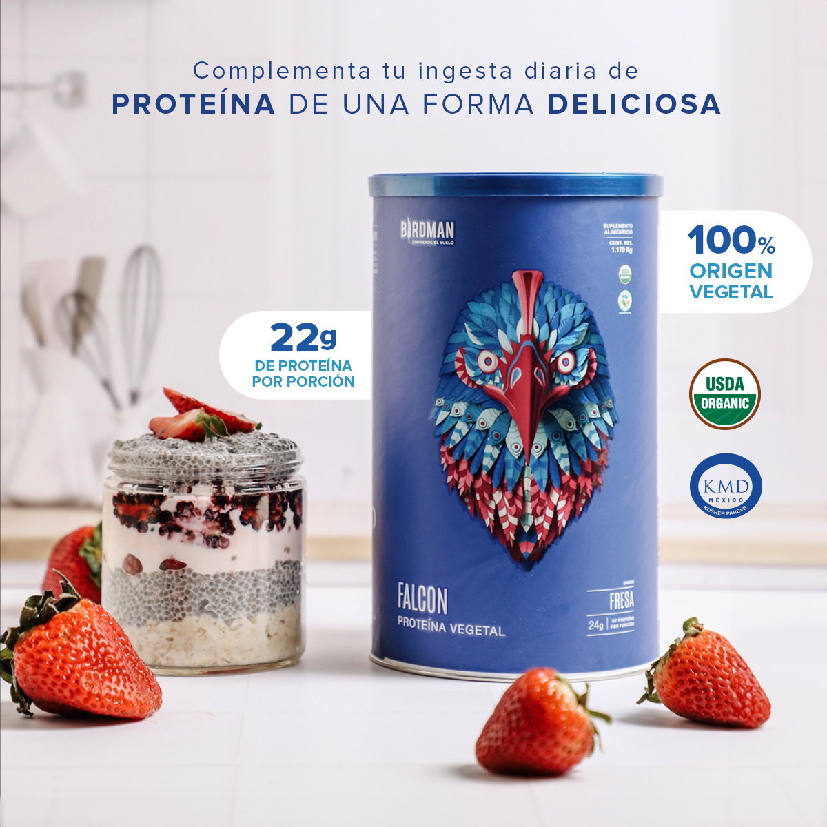 Falcon Proteina Fresa 510 G Birdman