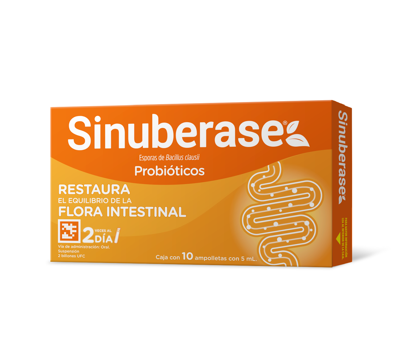 Sinuberase Oral Ampolletas 10 X 5 Ml