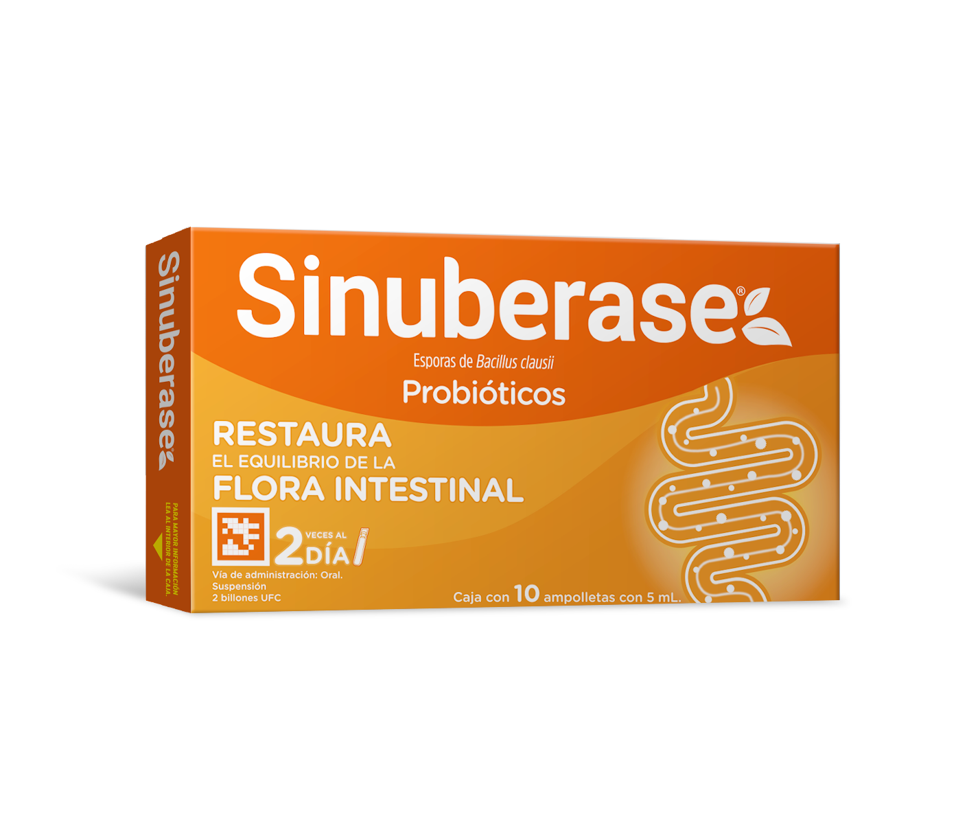 Sinuberase Oral Ampolletas 10 X 5 Ml