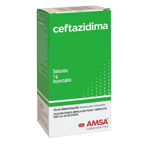 Ceftazidima Solucion 1 G Frasco Ampula 3 Ml Amsa