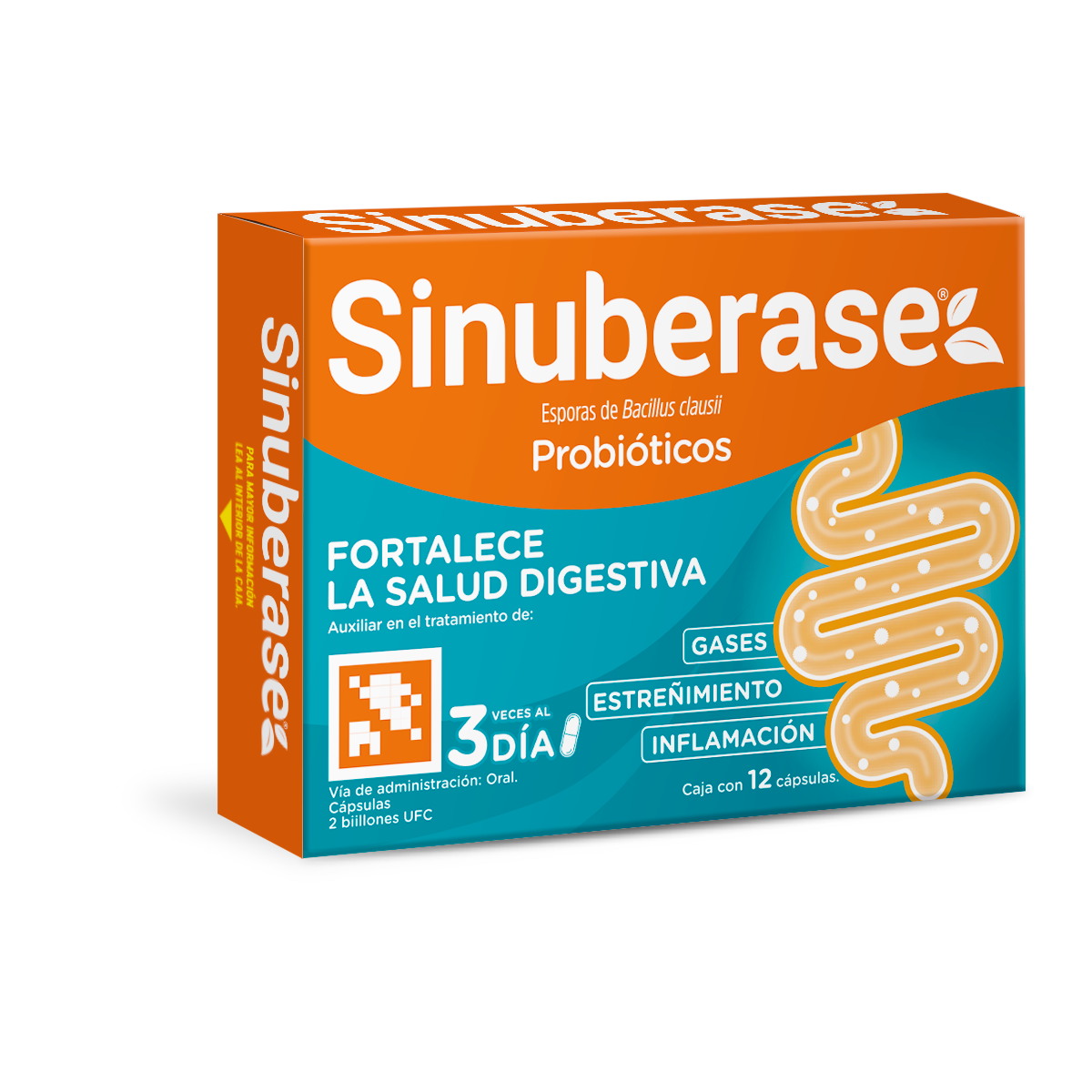 SINUBERASE CAPSULAS 12