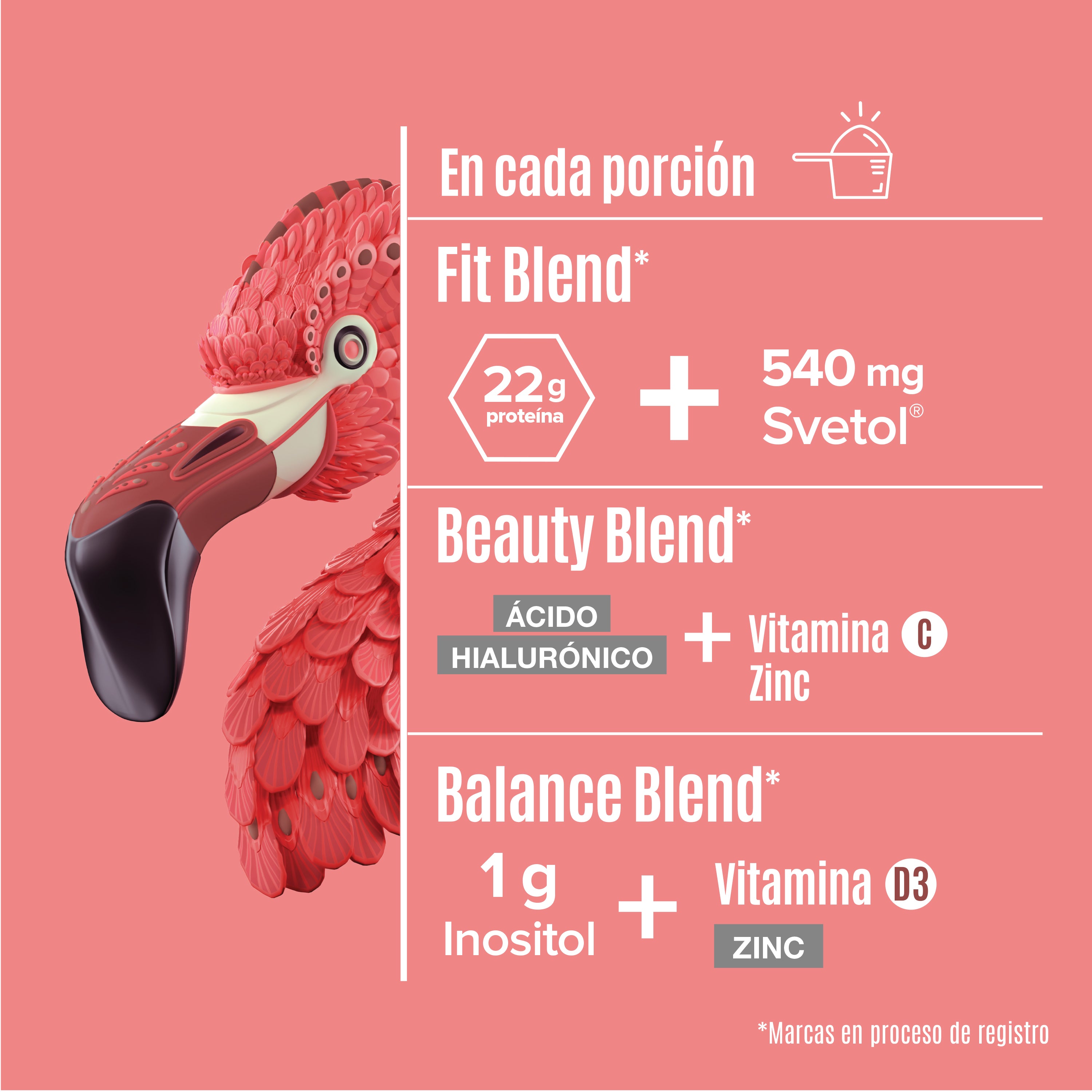 Fitmingo Proteina 510 G Birdman