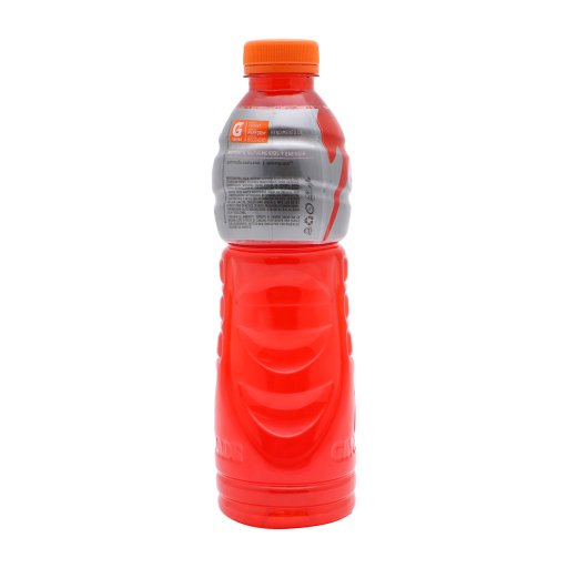 Gatorade Ponche Frutas 500 Ml-4
