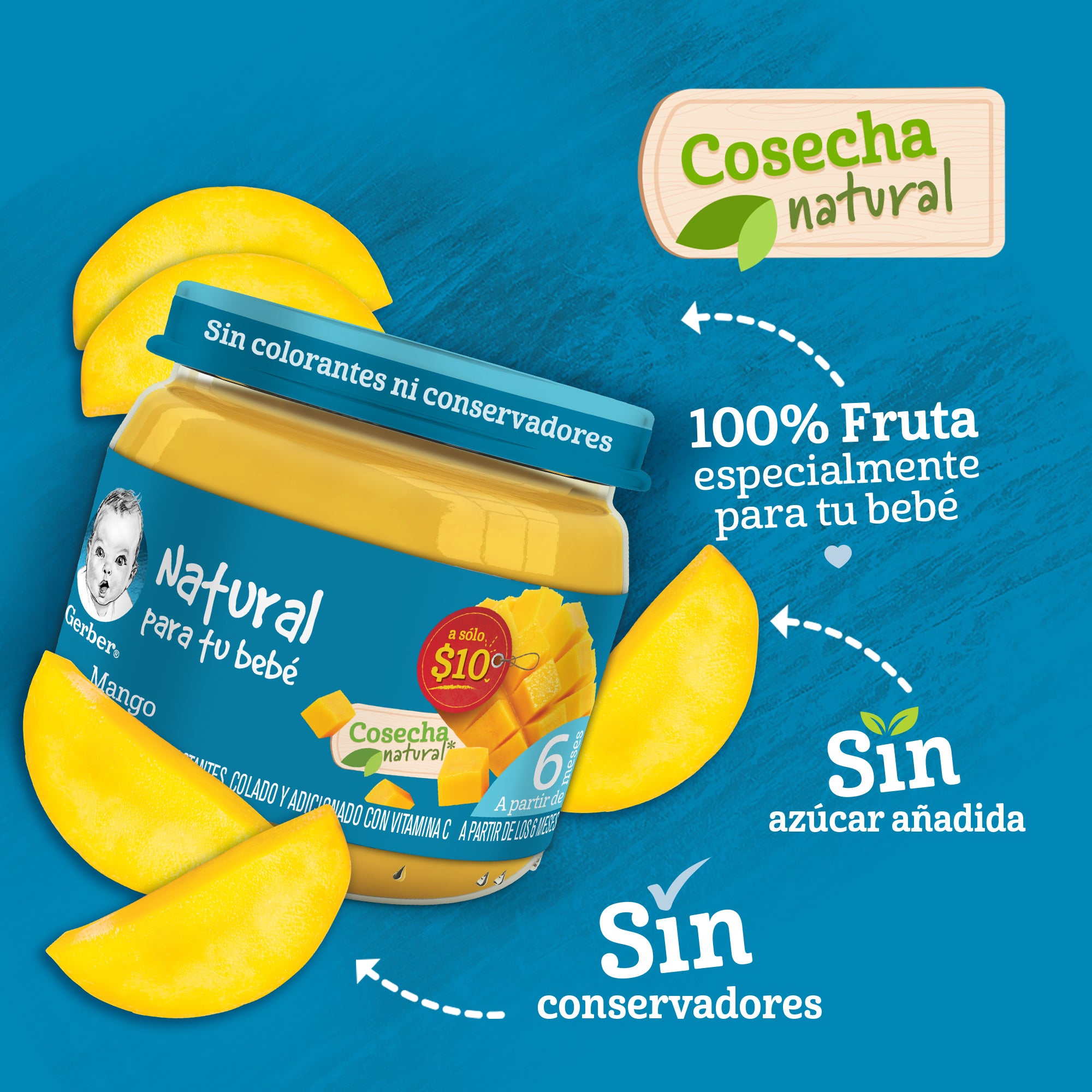 Gerber Segunada Etapa Pure Mango 100 G-6