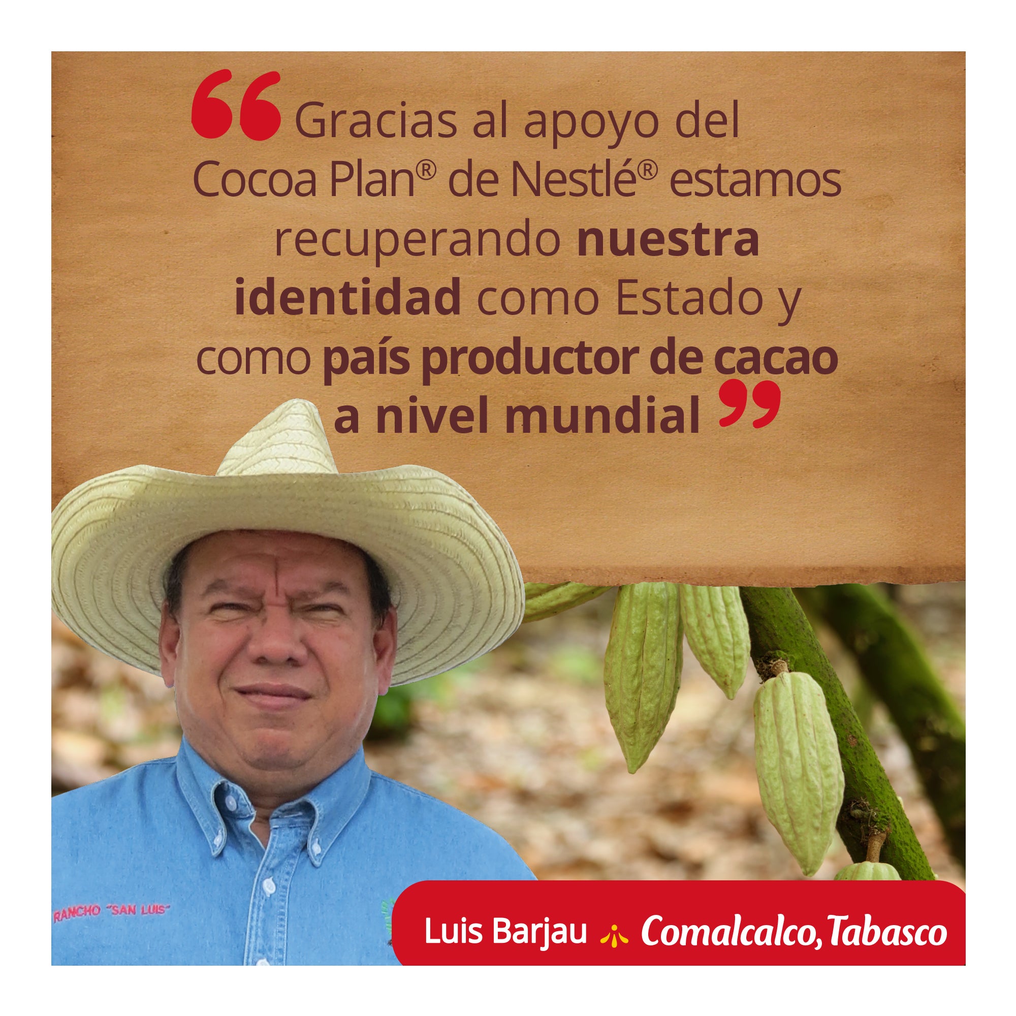 Chocolate Abuelita Paquete-9