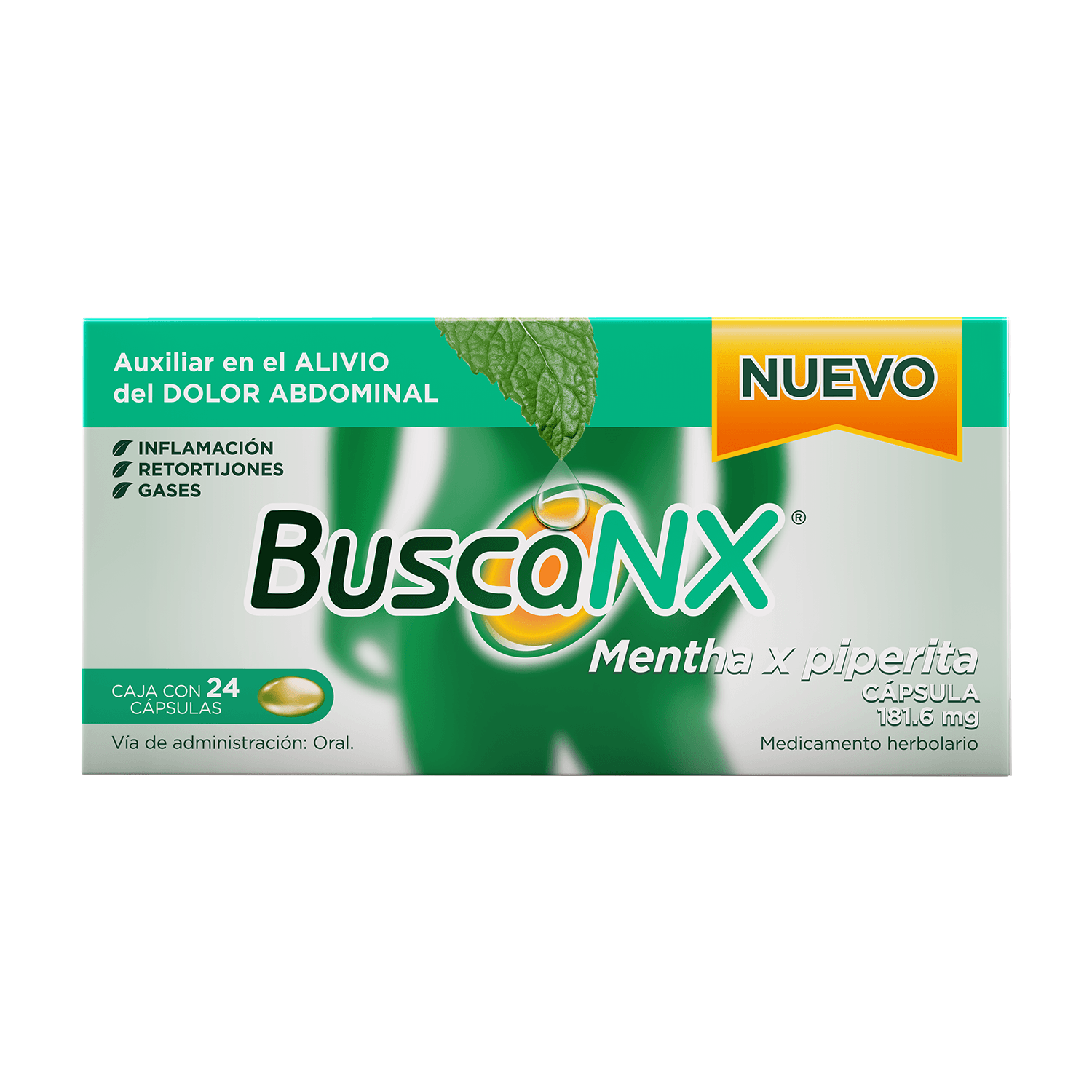 Buscanx 181.6 Mg Mta-Pipe Con 24 Caps