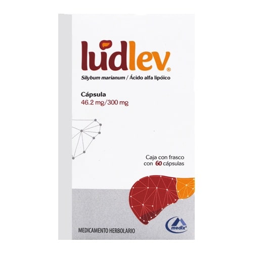 LUDLEV 46.2 300 MG FRASCO CAPSULAS 60