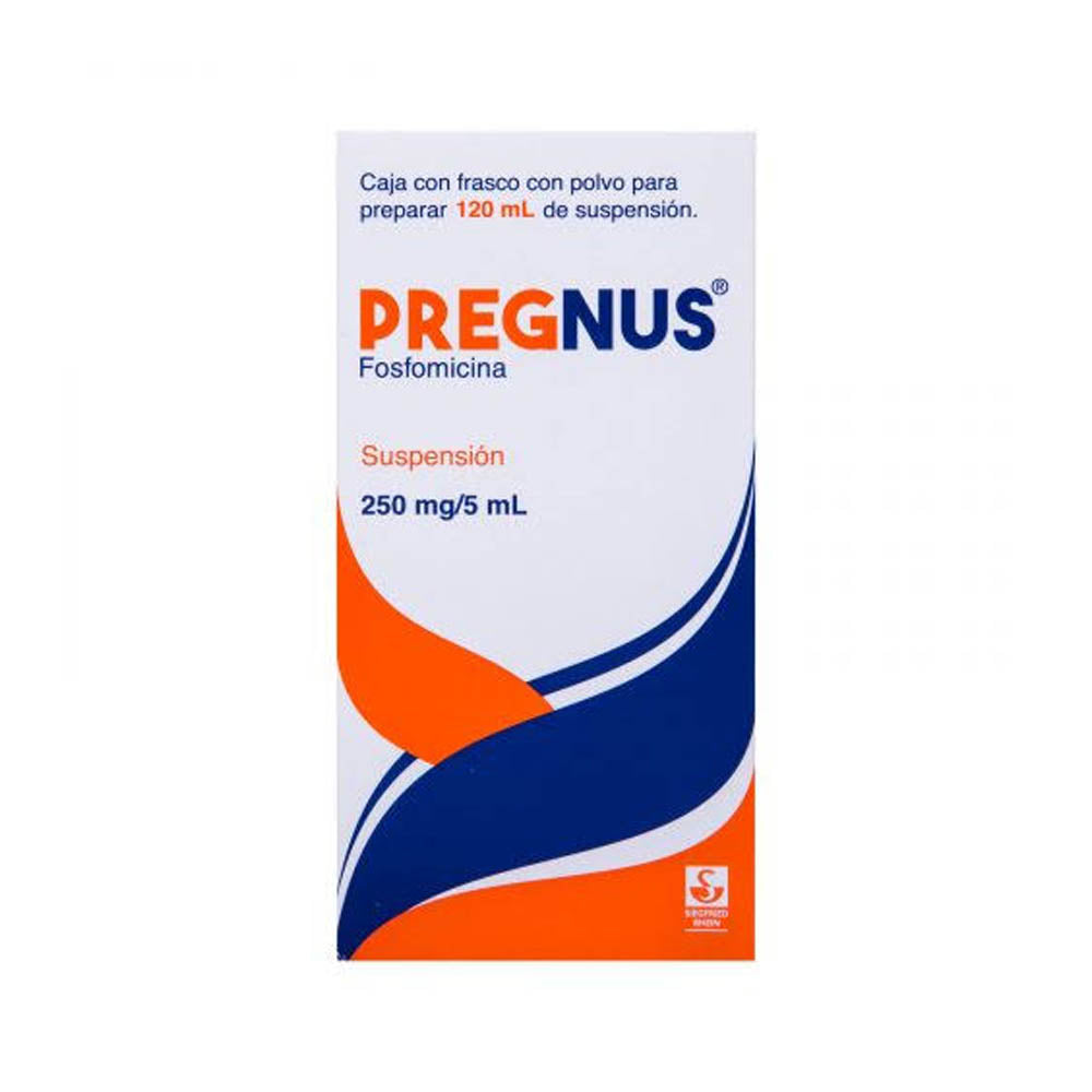 PREGNUS 250 MG/5 ML SUSPENSION POLVO 120 ML