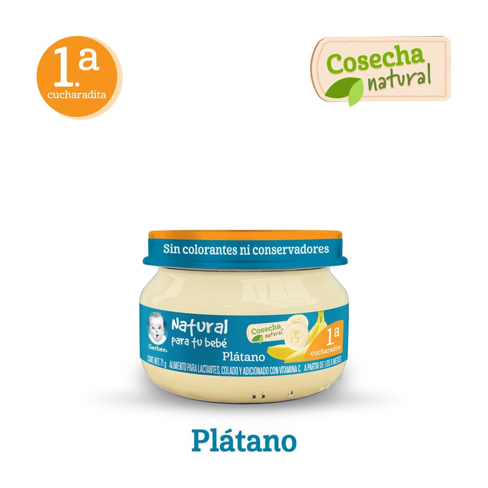 Gerber Papilla Primera Etapa Platanos 71 G