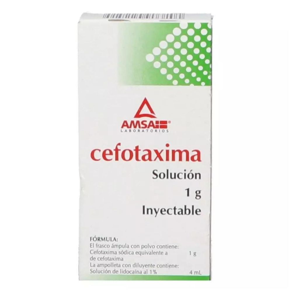 CEFOTAXIMA IM 1 G/4 ML FRASCO AMPOLLETAS