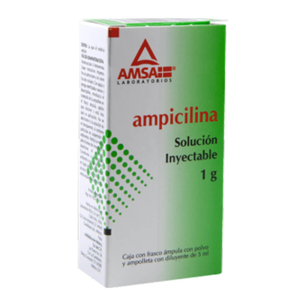 AMPICILINA 1 FA 1 G/5 ML AMSA
