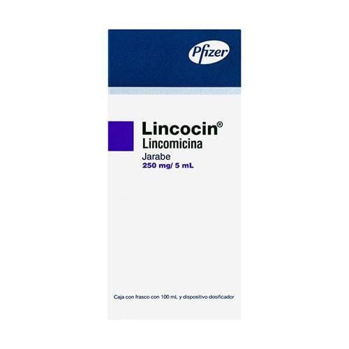 Lincocin 5 G Jbe 100 Ml Feb24-Plcs Des