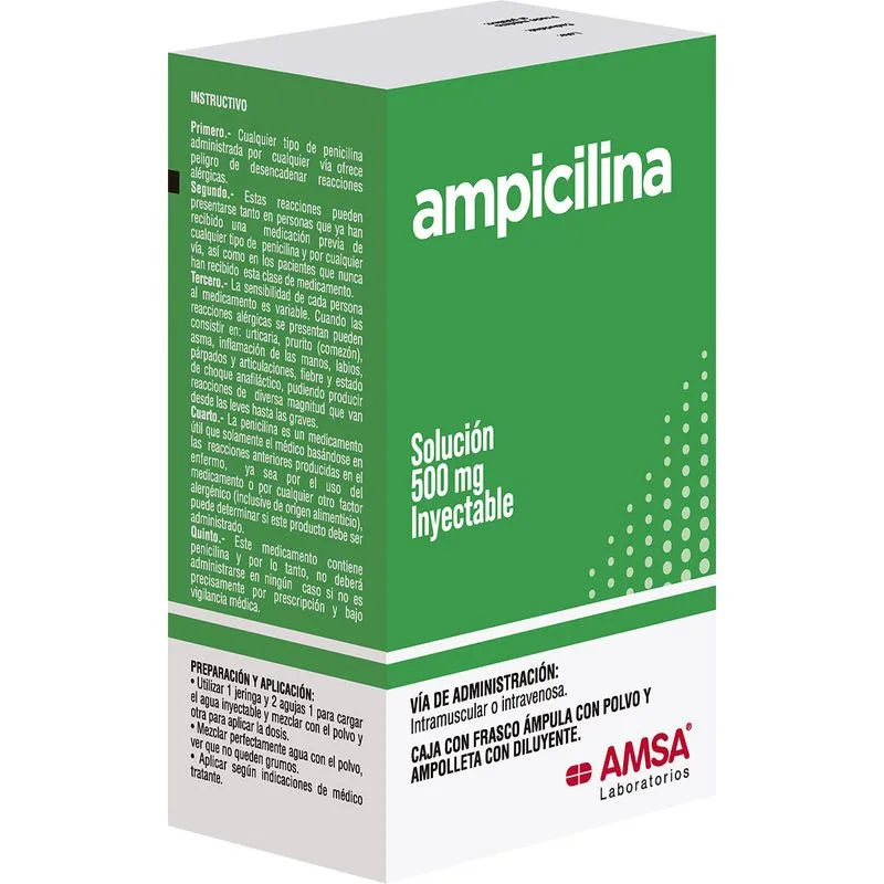 Ampicilina 500 Mg Solucion Inyectable Ampolleta 2 Ml Amsa