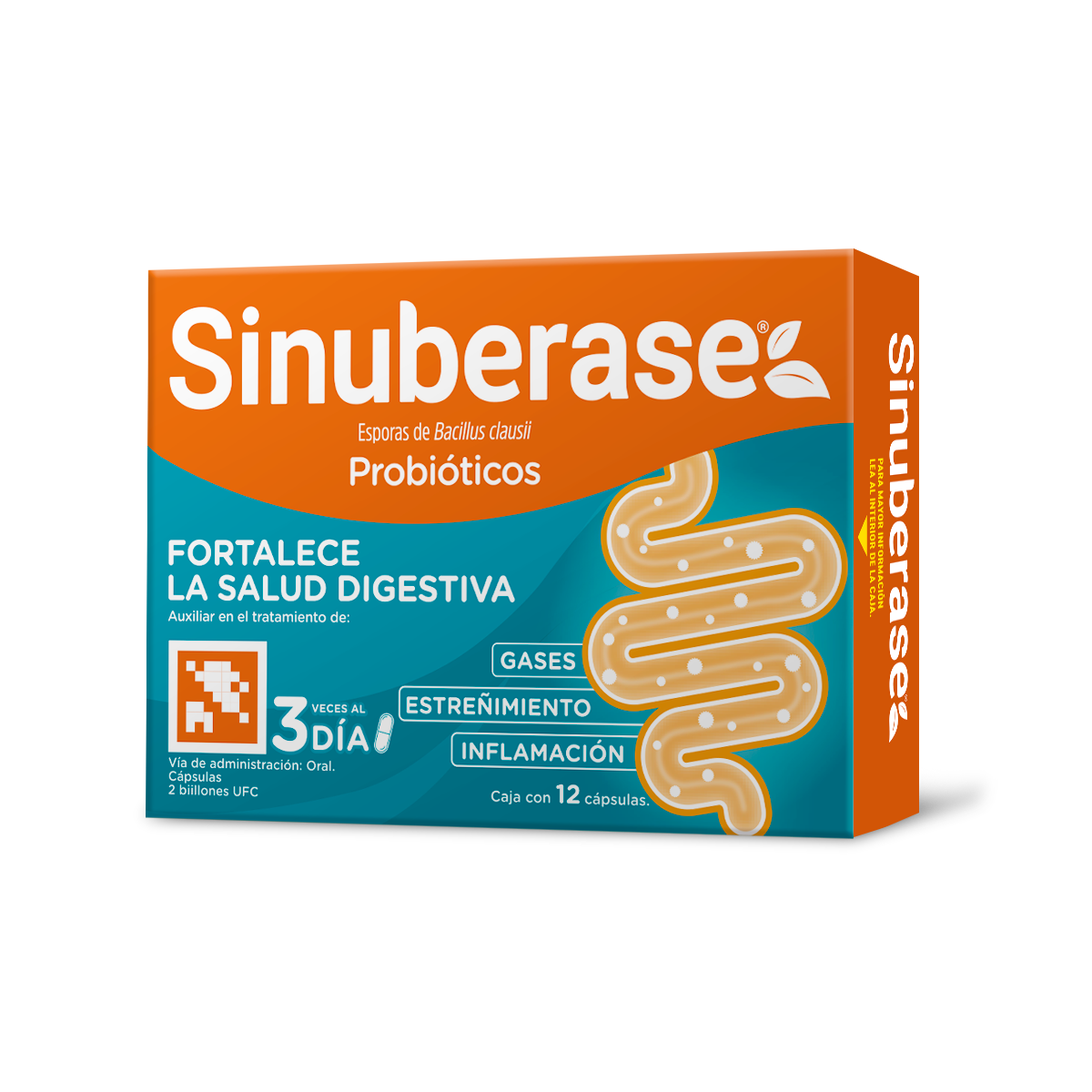 SINUBERASE CAPSULAS 12