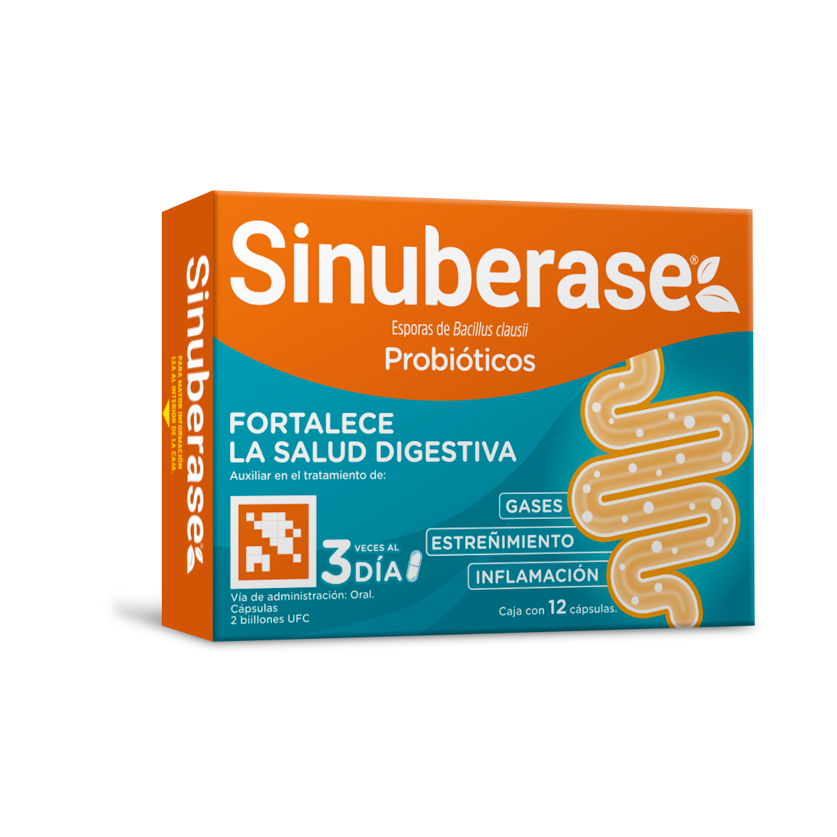 SINUBERASE CAPSULAS 12