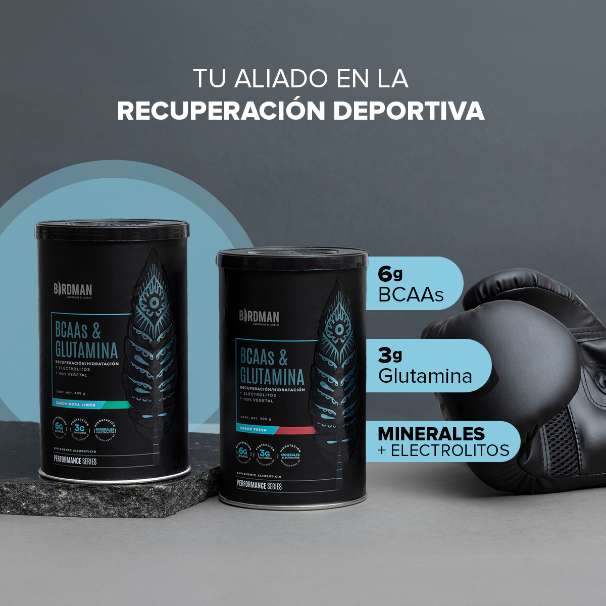Bcaa & Glutamina Fresa 405 G Birdman