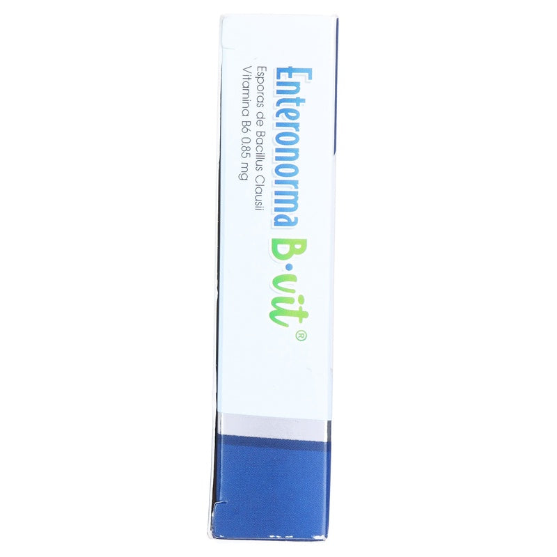 Enteronorma B.Vit Suspension Con 10 Ampolletas Orales Suplemento Alimenticio 7501124185831 perfil 7