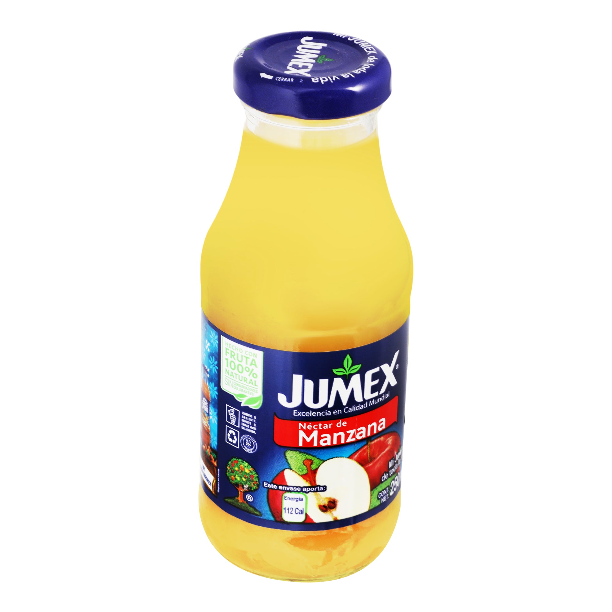 Jumex Botella Manzana 250 Ml-1