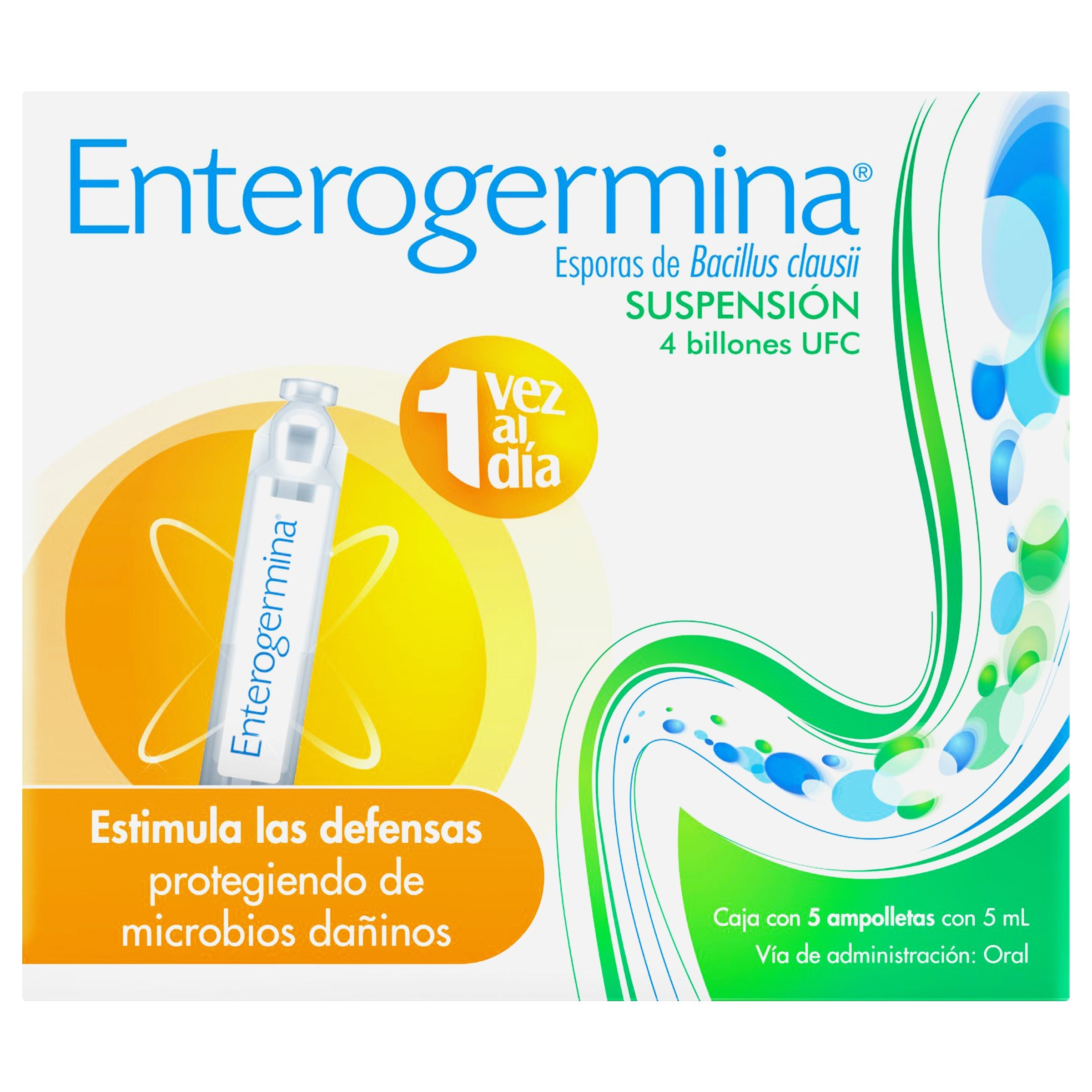 Enterogermina 4B Susp Oral Ampolletas 5 X 5 Ml-1