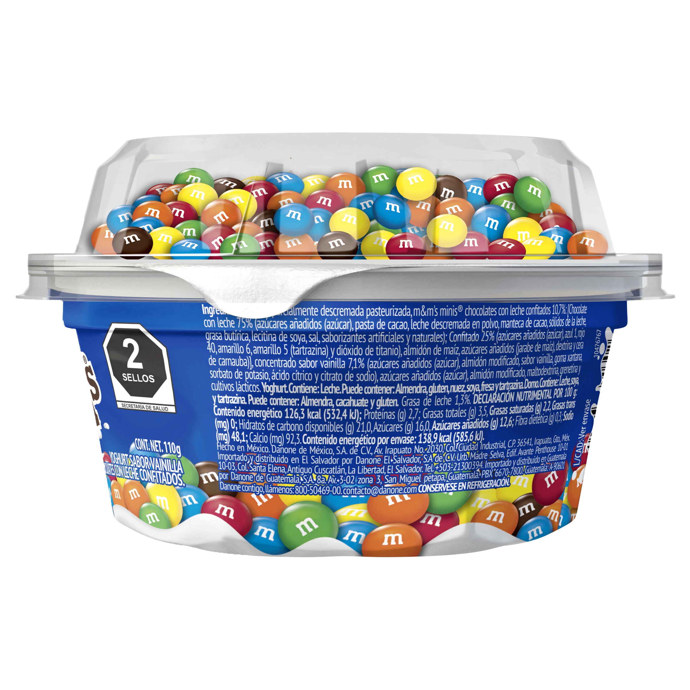 Danmix Vainilla Con Domo M&M 110 G-2