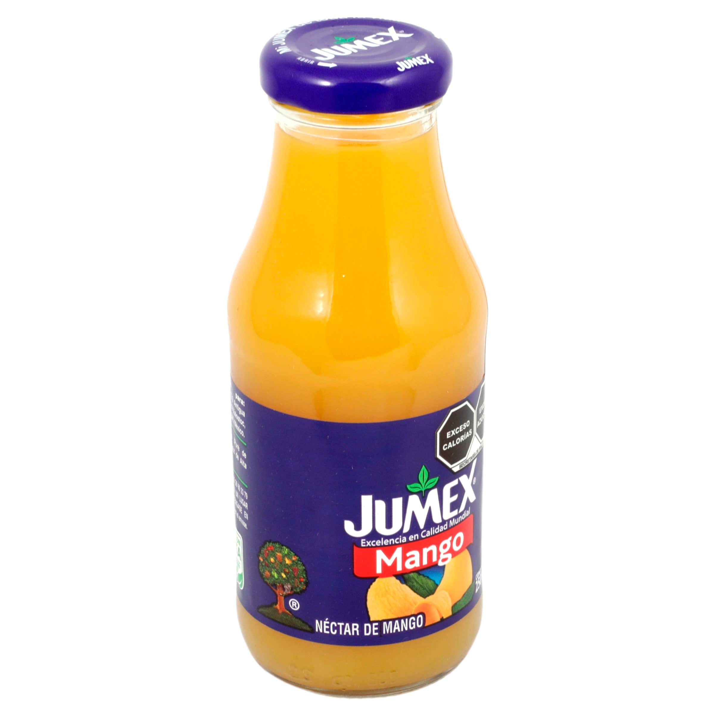 Jumex Botella Mango 250 Ml-2