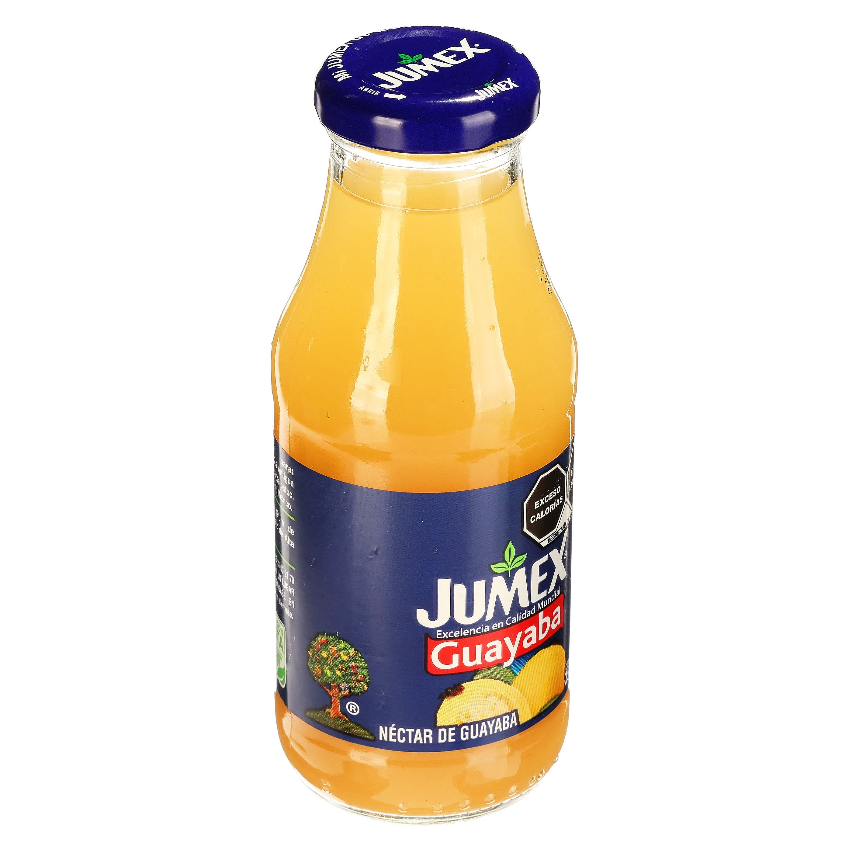 Jumex Botella Guayaba 250 Ml-2